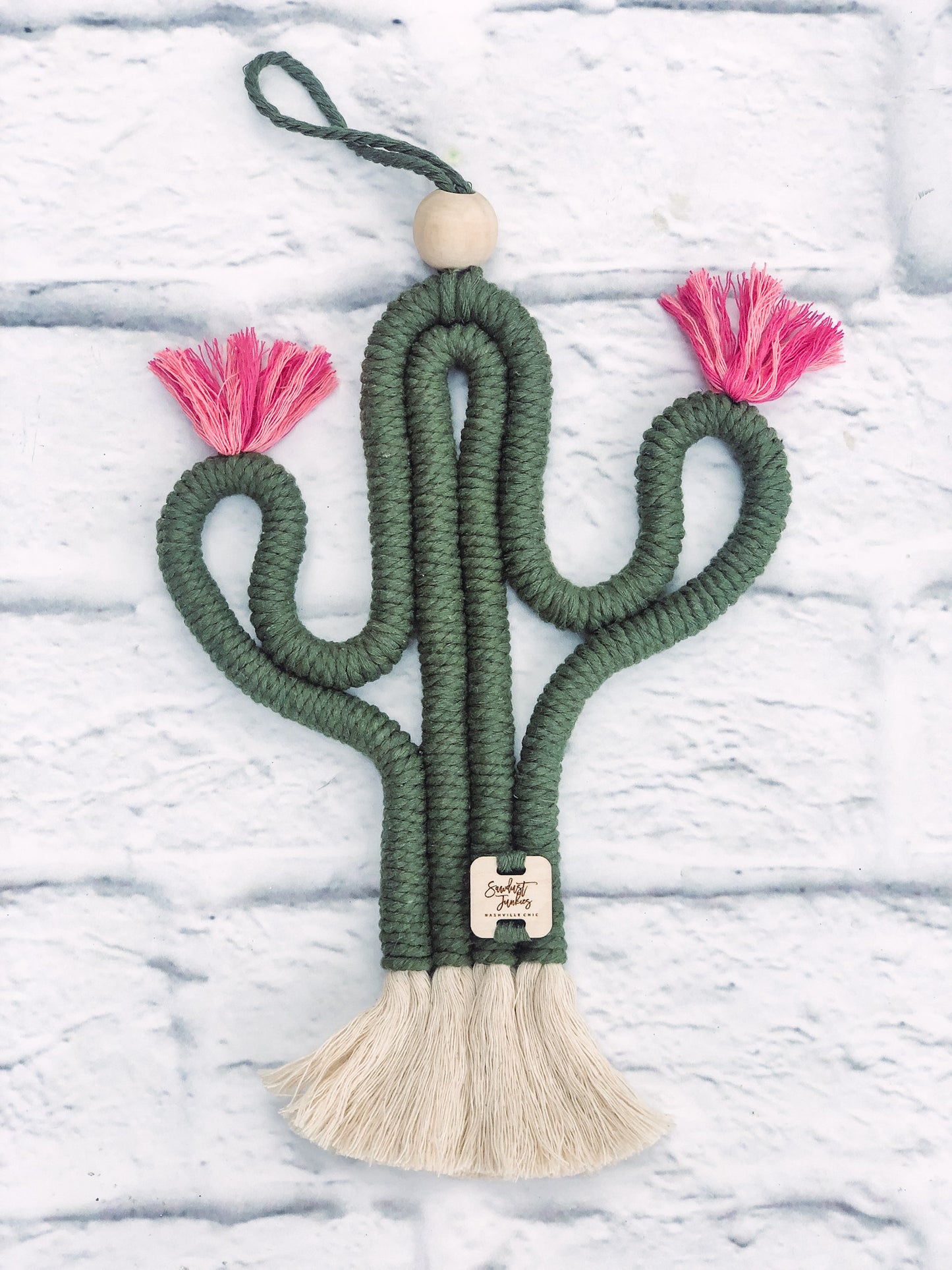 mini green cactus with two pink blooms